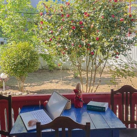 Cottage Коттеджи С Балконом Kobuleti Bagian luar foto
